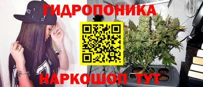 прущие крисы Сланцы