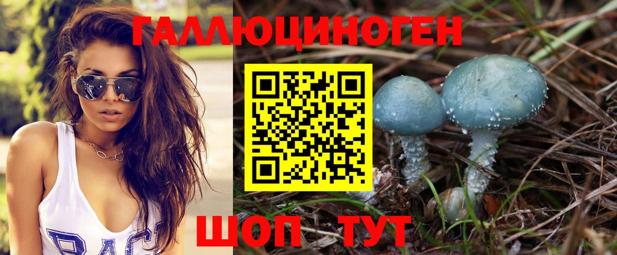 Галлюциногенные грибы мухоморы  Вход с VPN  Саров 