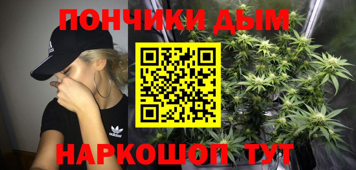 Каннабис конопля Саров